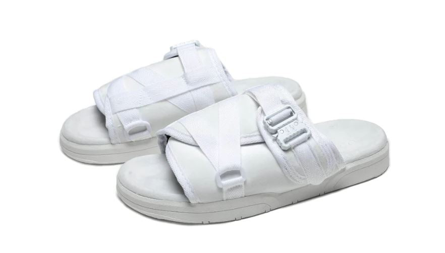 DracoNova Slides