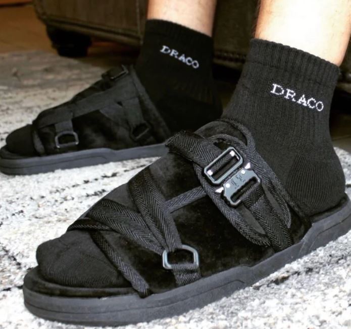 DracoNova Slides