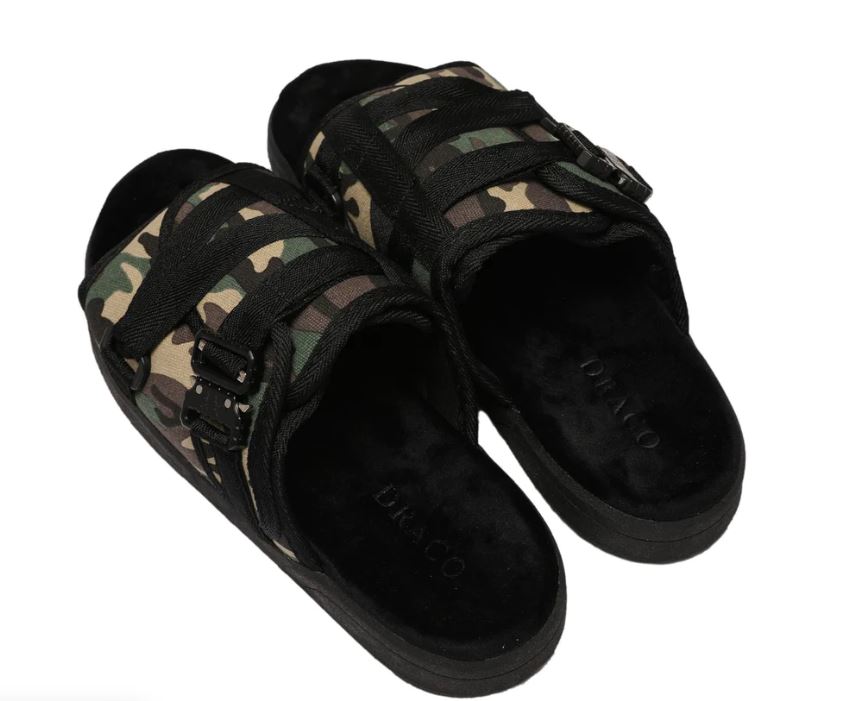 DracoNova Slides
